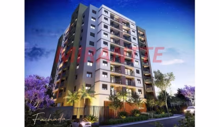 Apartamento de 47m² com 2 quartos em Mandaqui