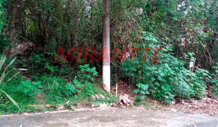 Terreno em Serra Da Cantareira