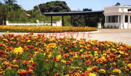 Terreno em Nova Itatiba