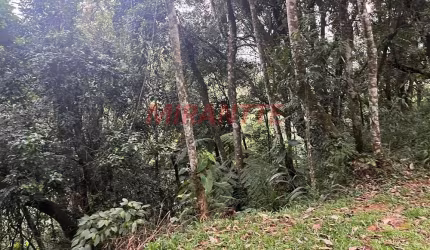 Terreno em Serra Da Cantareira