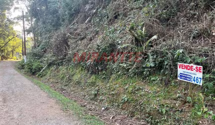 Terreno em Serra Da Cantareira