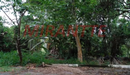 Terreno em Serra Da Cantareira