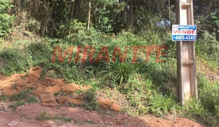 Terreno em Serra Da Cantareira