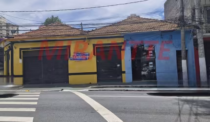 Terreno em Vila Guilherme