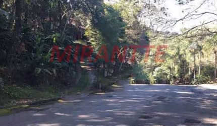 Terreno em Roseira