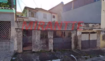 Terreno em Vila Santa Terezinha (Zona Norte)