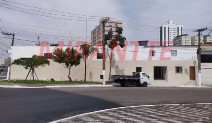Terreno em Ipiranga