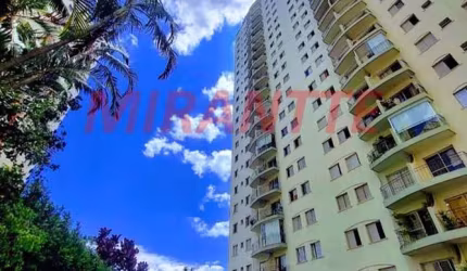 Apartamento de 72m² com 3 quartos em Santa Teresinha
