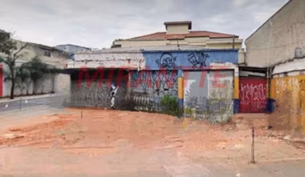 Terreno em Vila Gustavo