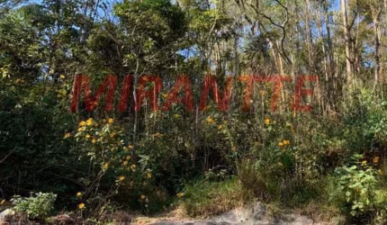 Terreno em Mantiqueira