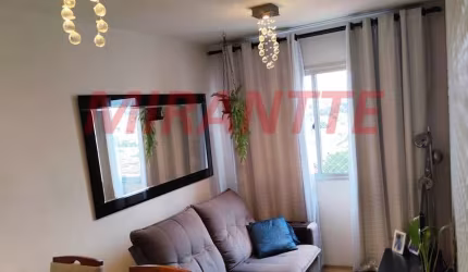 Apartamento de 53m² com 2 quartos em Vila Basileia
