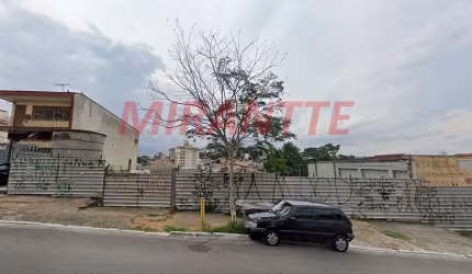 Terreno em Vila Gustavo