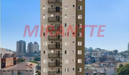 Apartamento de 24m² com 1 quartos em Jardim São Paulo(Zona Norte)