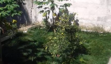 Terreno de 246m² em Jardim Floresta