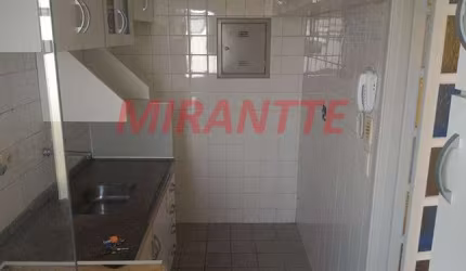 Apartamento de 50m² com 2 quartos em Lauzane Paulista