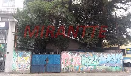 Terreno em Vila Mazzei