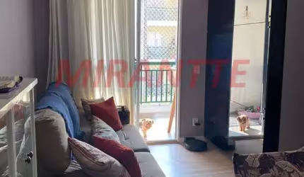 Apartamento de 53m² com 2 quartos em Jardim Peri