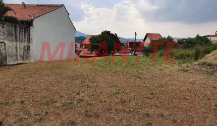 Terreno em Vila Rosaria