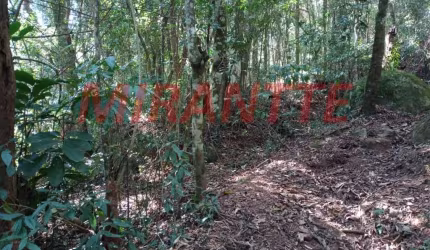Terreno em Serra Da Cantareira