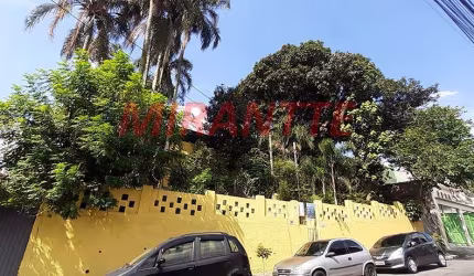 Terreno de 340m² em Vila Amalia