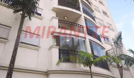 Apartamento de 75m² com 3 quartos em Vila Guilherme