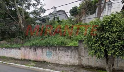 Terreno em Vila Albertina