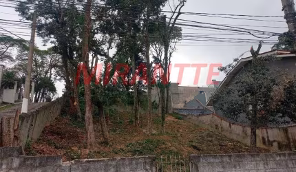 Terreno em Horto Florestal