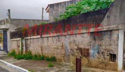 Terreno em Jardim Jaçanã