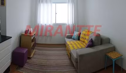 Apartamento de 47m² com 2 quartos em Jaçana