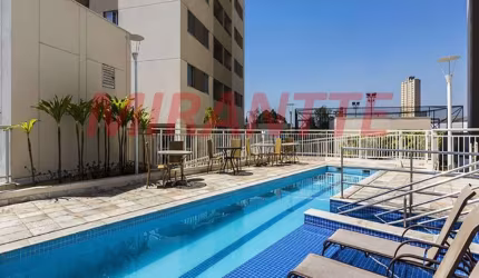 Apartamento de 50m² com 2 quartos em Tucuruvi