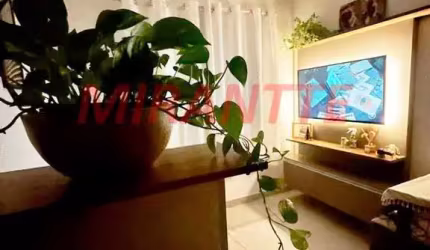Apartamento de 33m² com 2 quartos em Piqueri