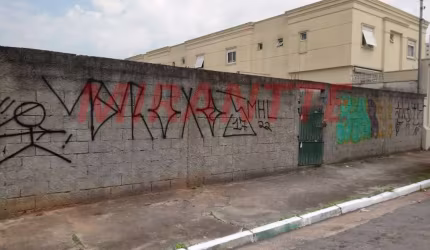 Terreno em Pirituba