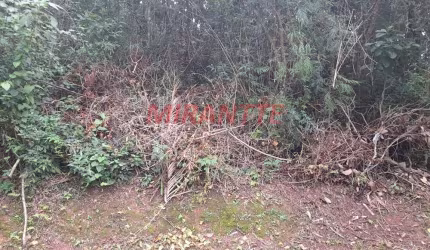 Terreno em Serra Da Cantareira