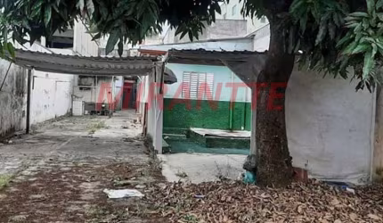 Terreno de 336m² em Parque Peruche