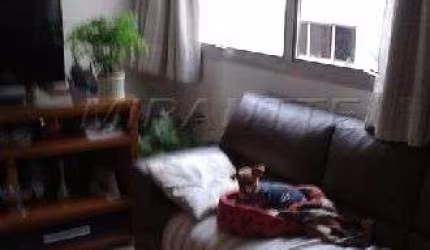 Apartamento de 50m² com 2 quartos em Lauzane Paulista