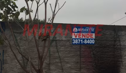 Terreno em Limão