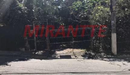Terreno de 80m² em Vila Gustavo