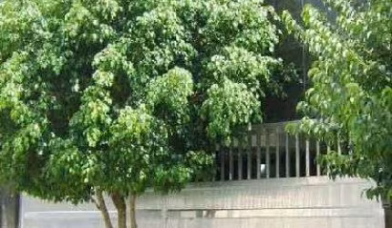 Sobrado de 120m² com 3 quartos em Vila Gustavo