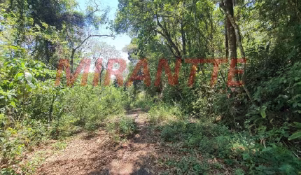 Terreno em Serra Da Cantareira