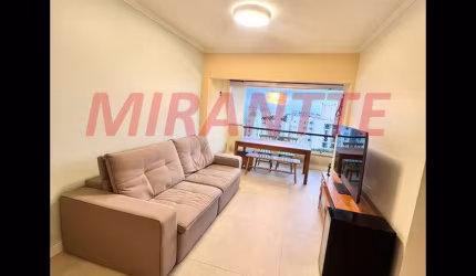 Apartamento de 69m² com 2 quartos em Vila Amalia