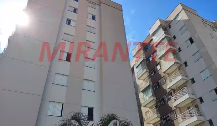 Apartamento de 55m² com 3 quartos em Vila Amalia