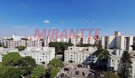 Apartamento de 71m² com 2 quartos em Vila Amelia