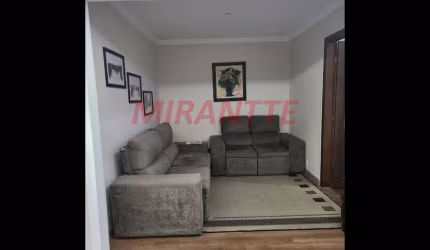 Apartamento de 77m² com 3 quartos em Piqueri