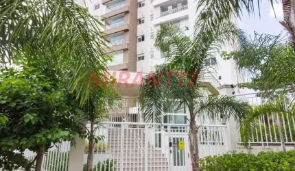 Apartamento de 85m² com 3 quartos em Vila Dom Pedro II