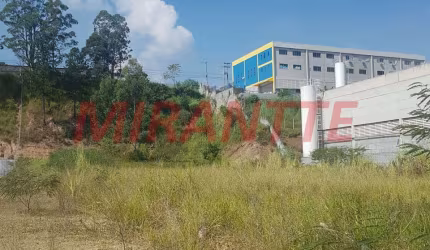 Terreno em Vila Rosina