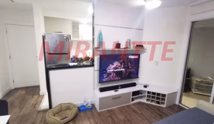 Apartamento de 55m² com 2 quartos em Belenzinho