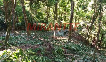 Terreno em Serra Da Cantareira