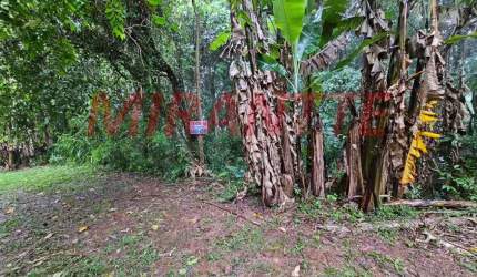 Terreno em Serra Da Cantareira