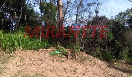 Terreno em Serra Da Cantareira