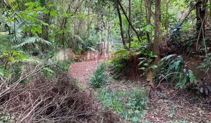 Terreno em Serra Da Cantareira
